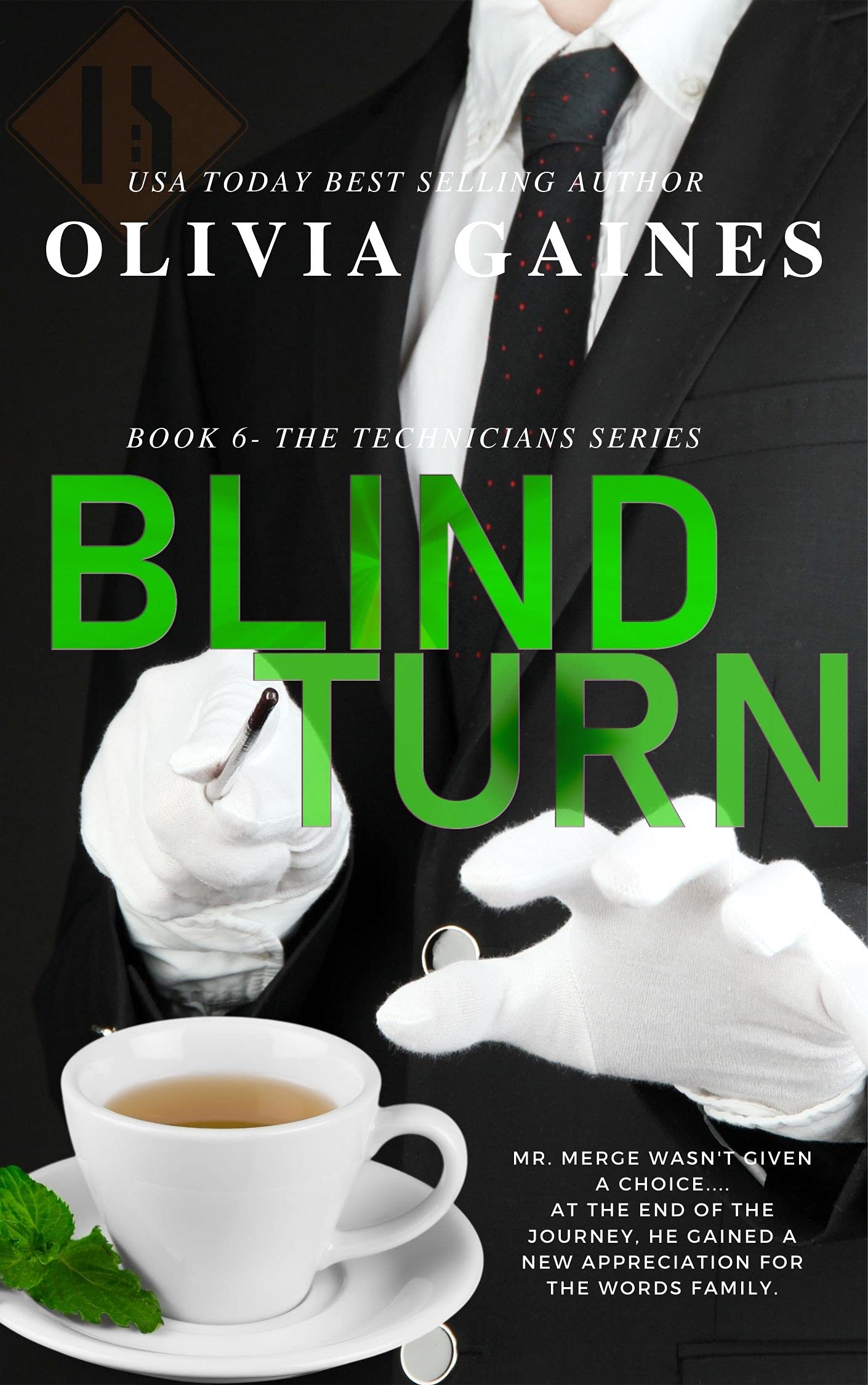Blind Turn (The Technicians Series #6)