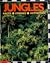 Jungles: Facts, Stories, and Activities