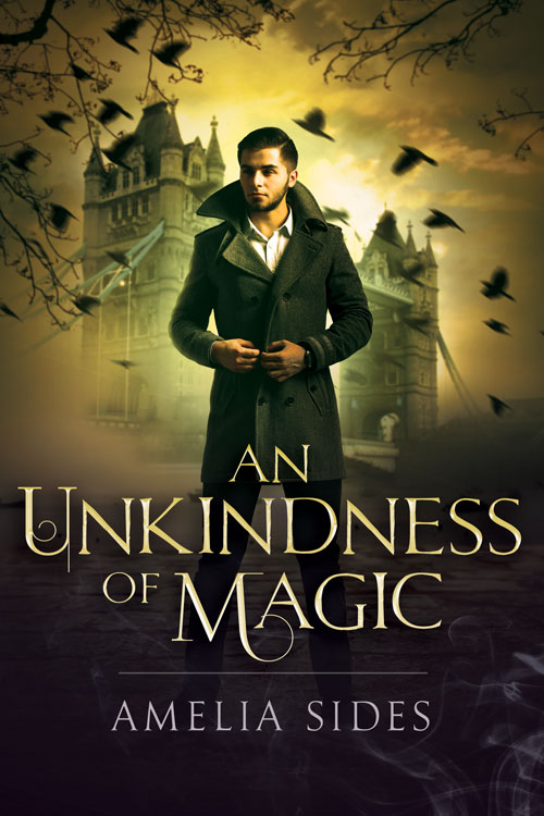 An Unkindness of Magic (Kindle Edition)