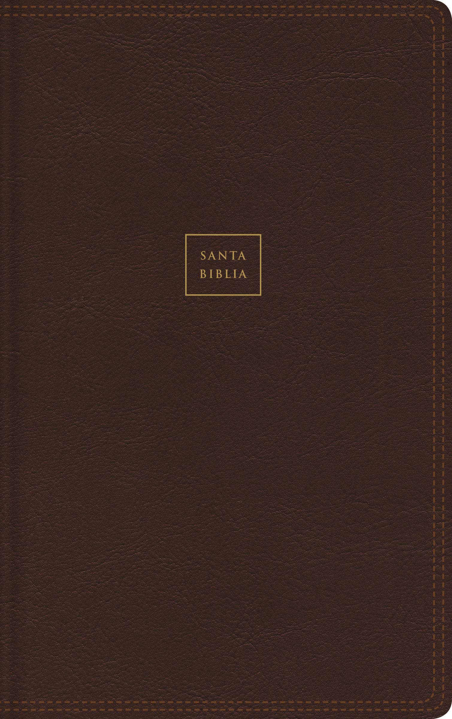 RVR60, Santa Biblia, Letra Grande, Leathersoft, Café, Palabras de Jesús en Rojo, Comfort Print (Spanish Edition)