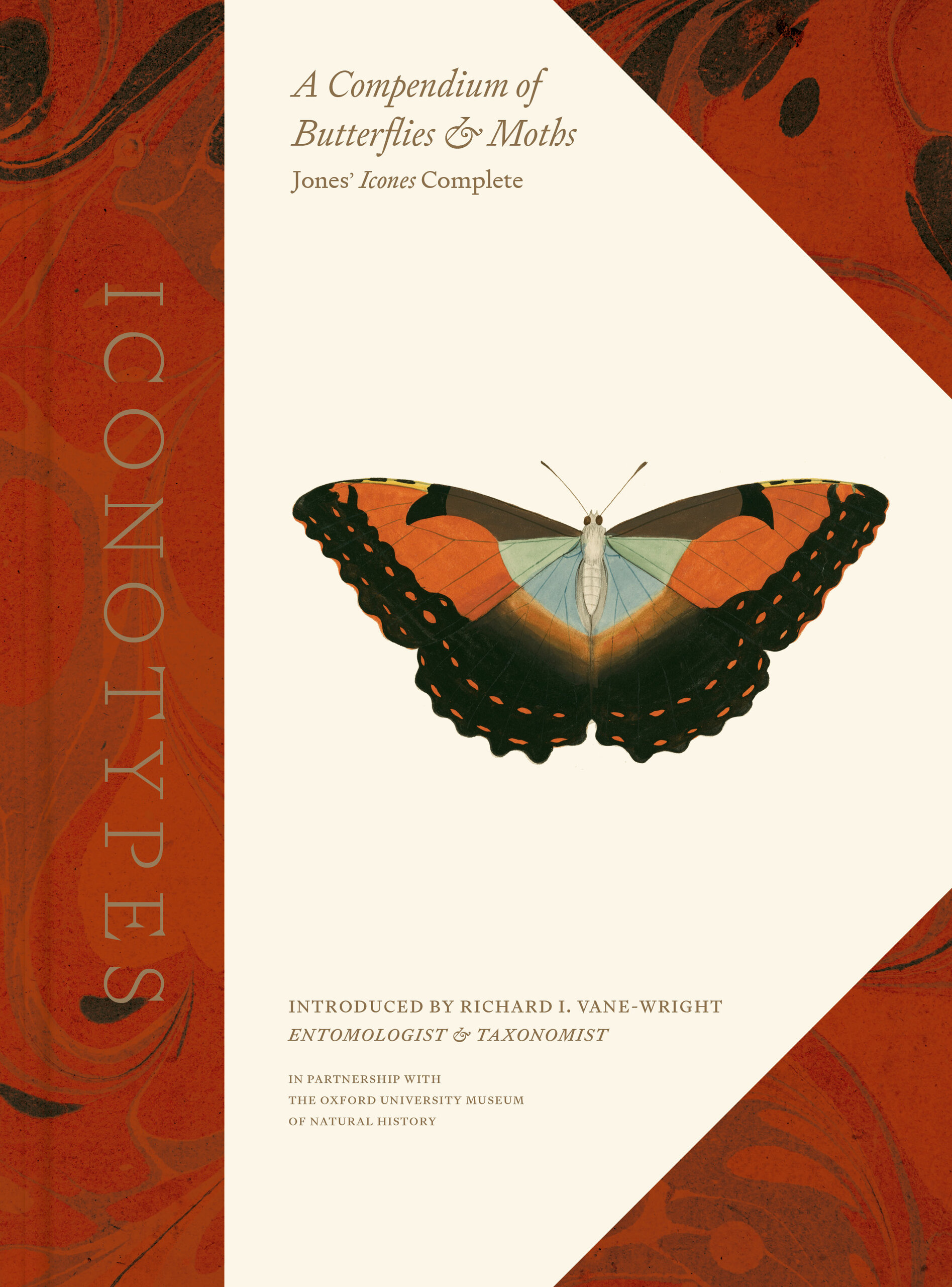 Iconotypes: A Compendium of Butterflies and Moths, Jones' Icones Complete (Hardcover)