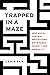 Trapped in a Maze: How Social Control Institutions Drive Family Poverty and Inequality