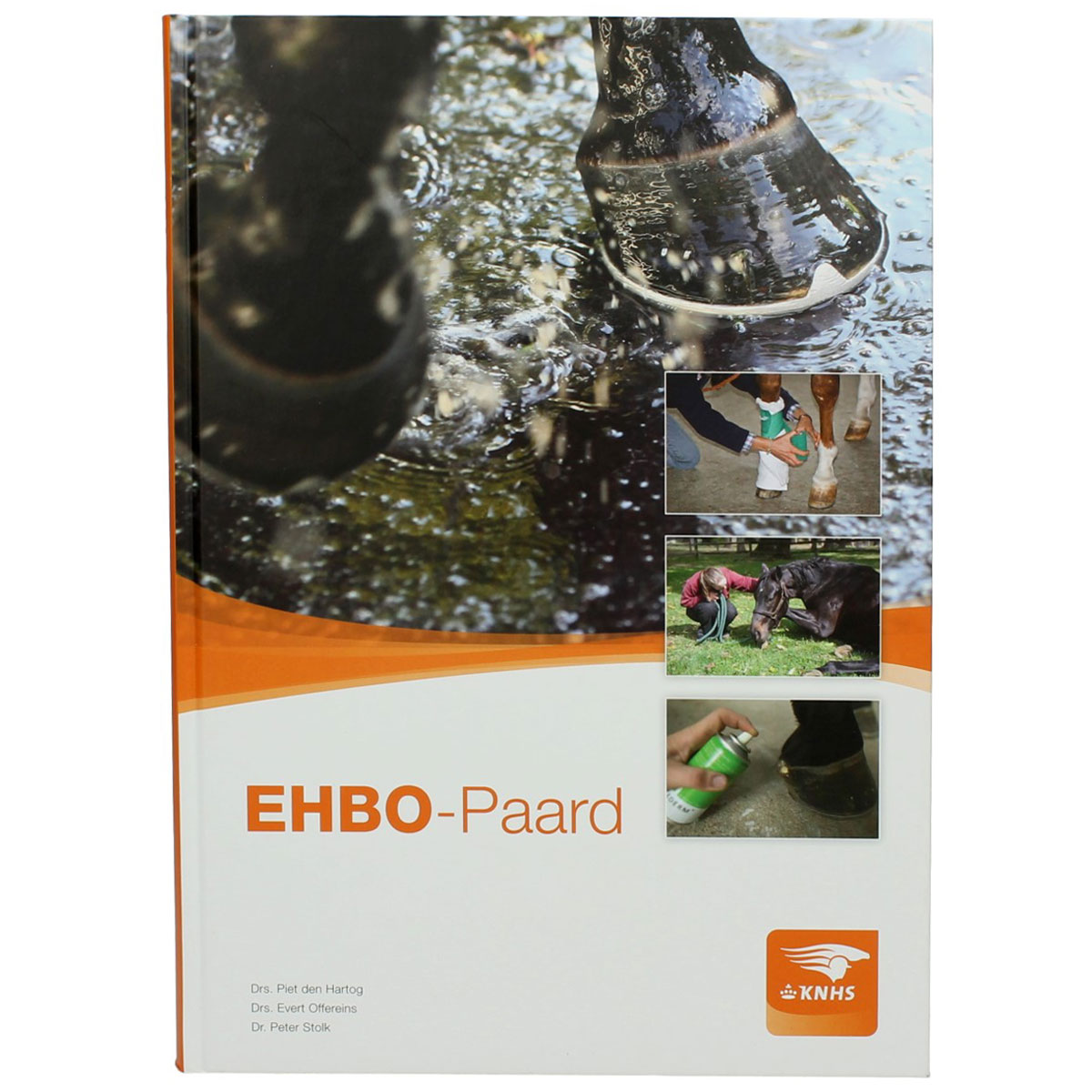 EHBO Paard