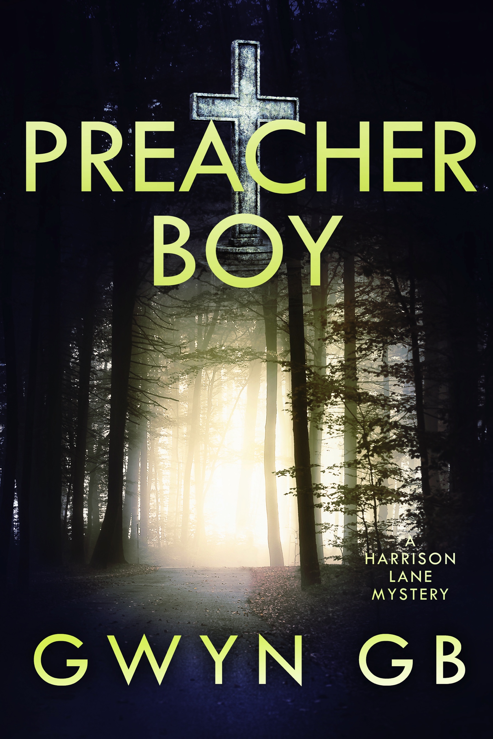 Preacher Boy (Harrison Lane mystery #1)