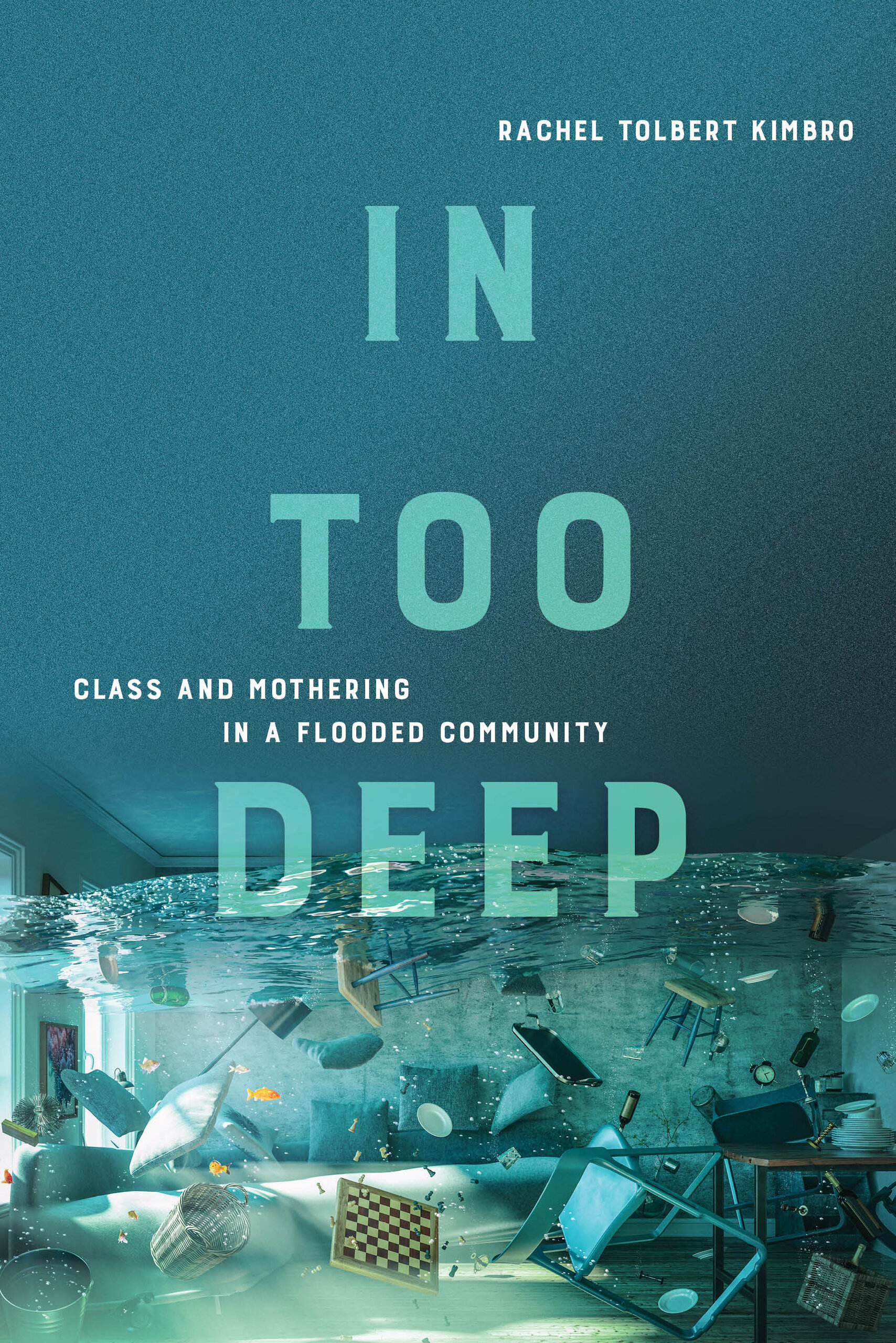 In Too Deep: Class and Mothering in a Flooded Community (Hardcover)