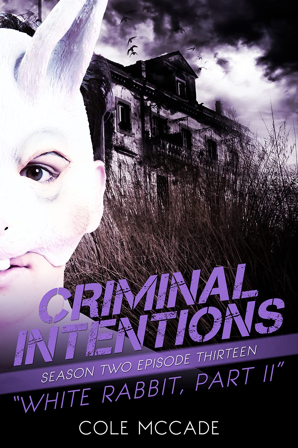 White Rabbit, Part II (Criminal Intentions, #26)