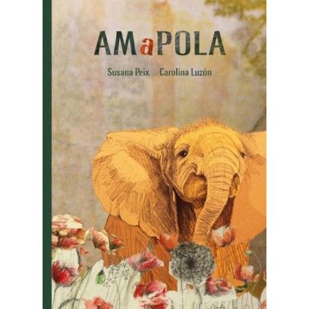 Amapola