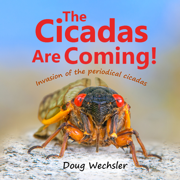 The Cicadas Are Coming!: Invasion of the Periodical Cicadas