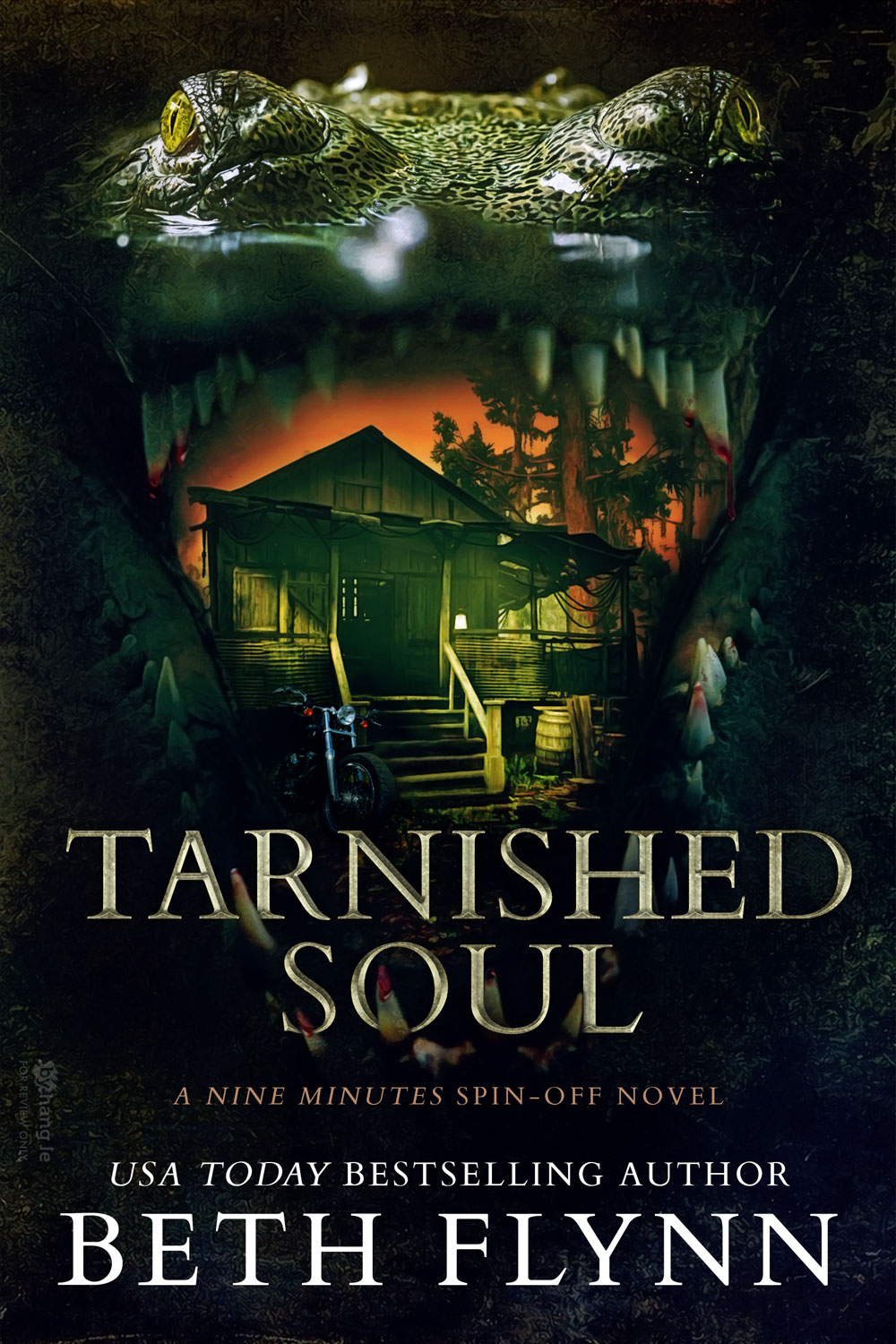 Tarnished Soul (Nine Minutes Spin-Off, #4)