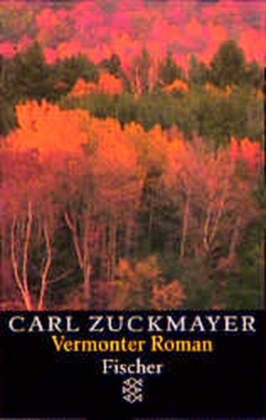 Vermonter Roman (Paperback)