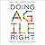 Doing Agile Right: Transformation Without Chaos