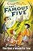 Five Have A Wonderful Time (Famous Five series, #11)