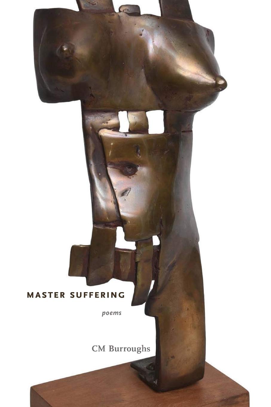 Master Suffering (Paperback)