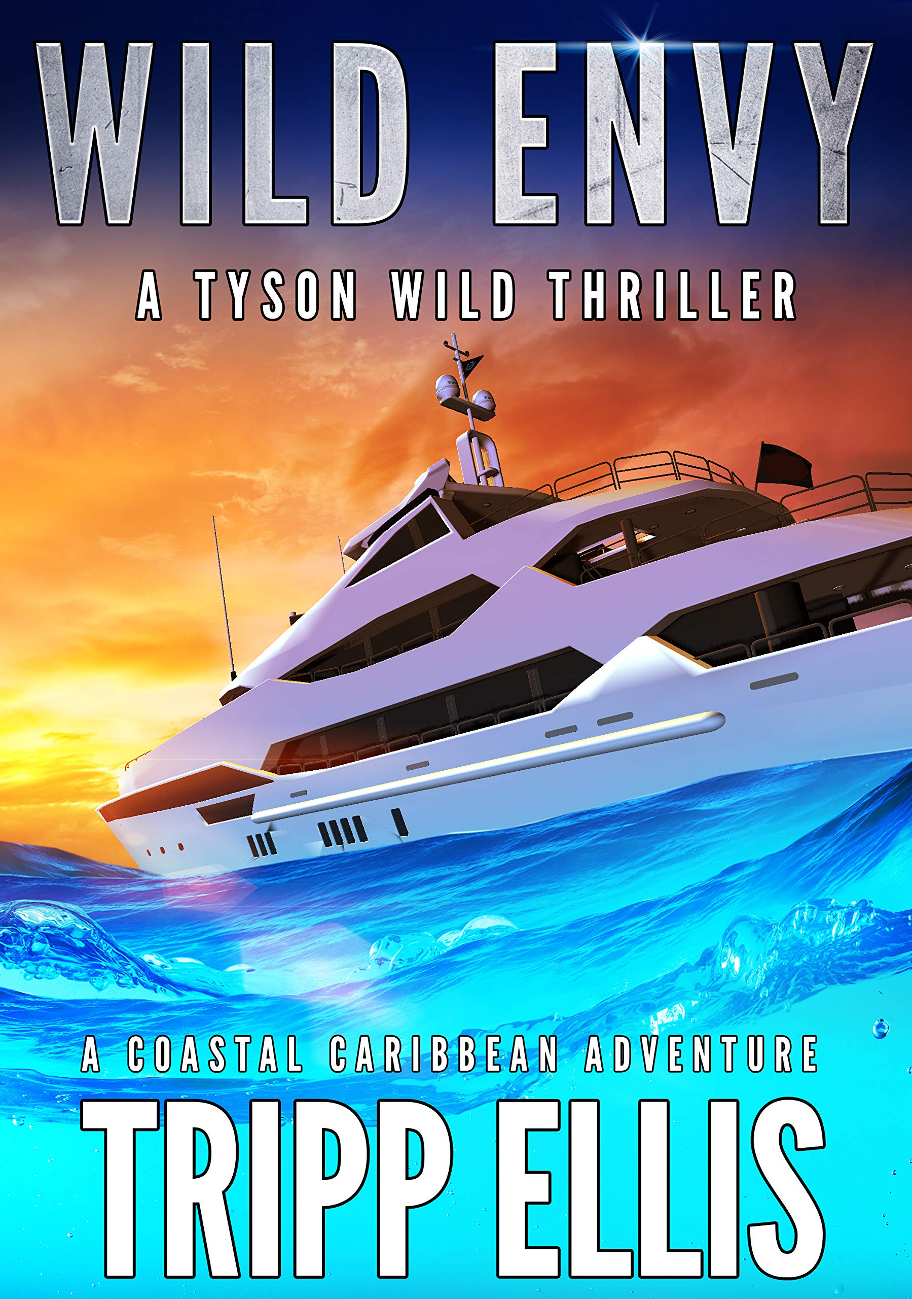 Wild Envy (Tyson Wild Thriller, #29)