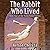 The Rabbit Who Lived (Waldo Rabbit #4)