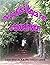 The Big Kids Magical Path to Colours in Nature (The Big Kid's Magical Path) by E. Jean Simpson