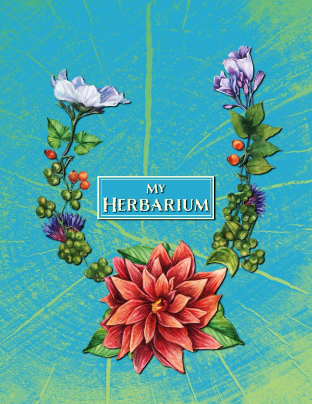 my herbarium: collecting book to keep and determine plants | for school and hobby | herbarium sheets for botany and biology class (Paperback)