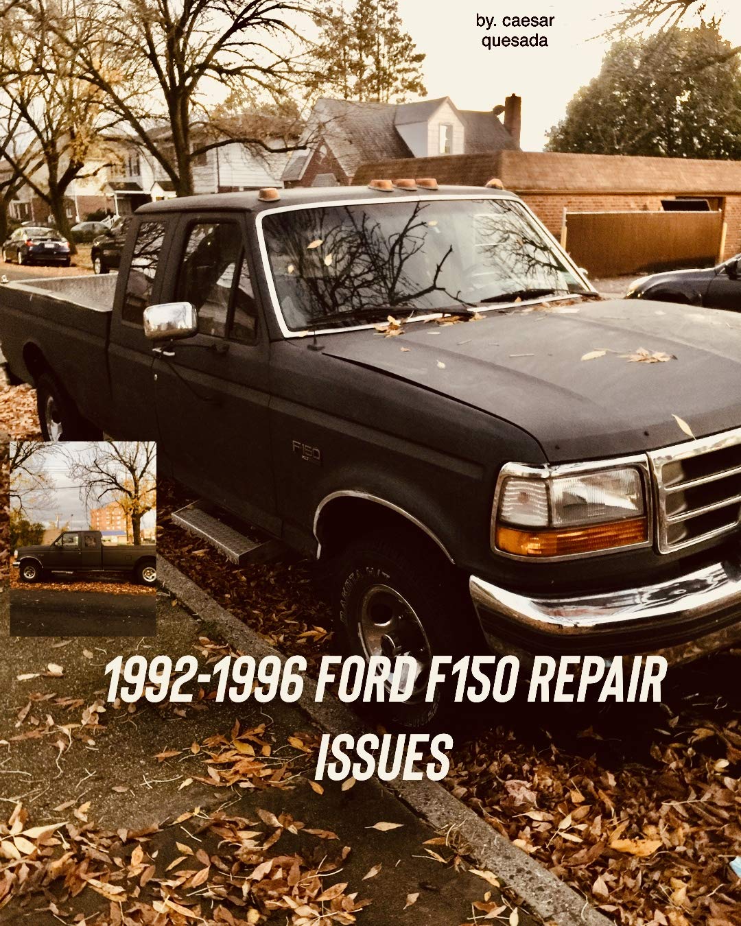 1992-1996 ford f150 truck repair issues: F SERIES TRUCK repair issues (Kindle Edition)