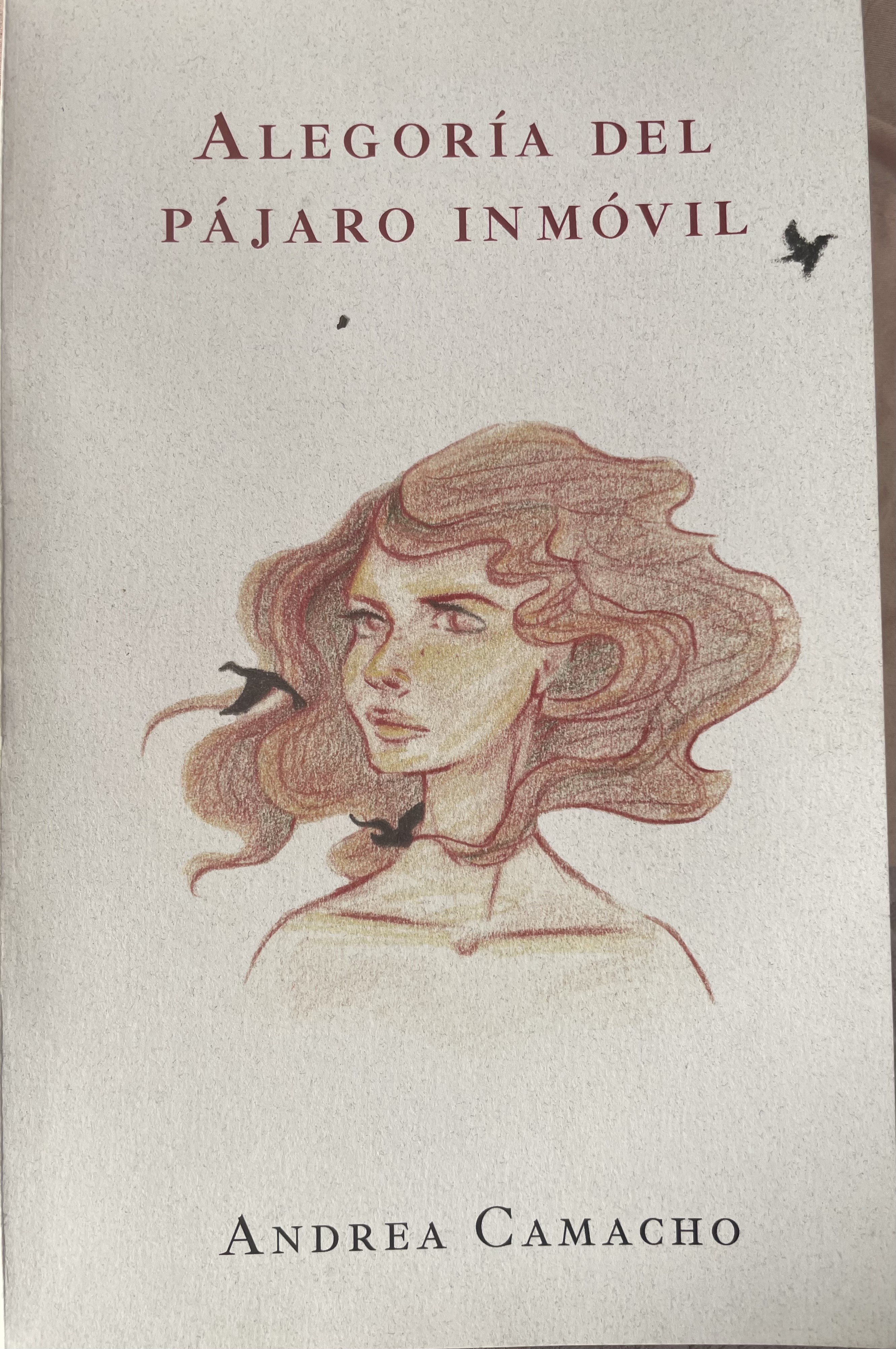 Alegoría del pájaro inmóvil (Unknown Binding)