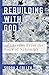 Rebuilding With God: 40 Lessons From the Book of Nehemiah