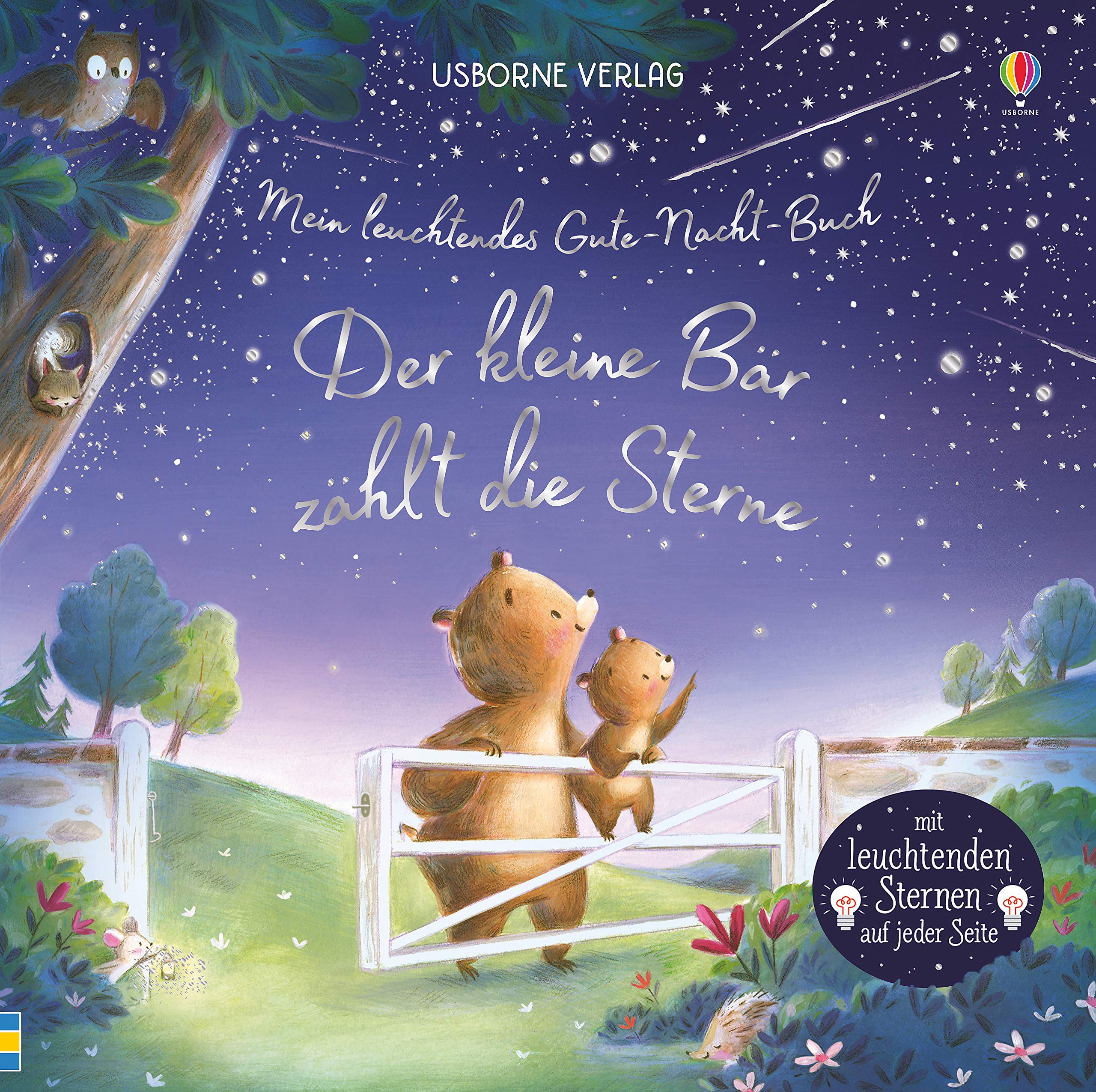 Mein leuchtendes Gute-Nacht-Buch: Der kleine Bär zählt die Sterne (Paperback)