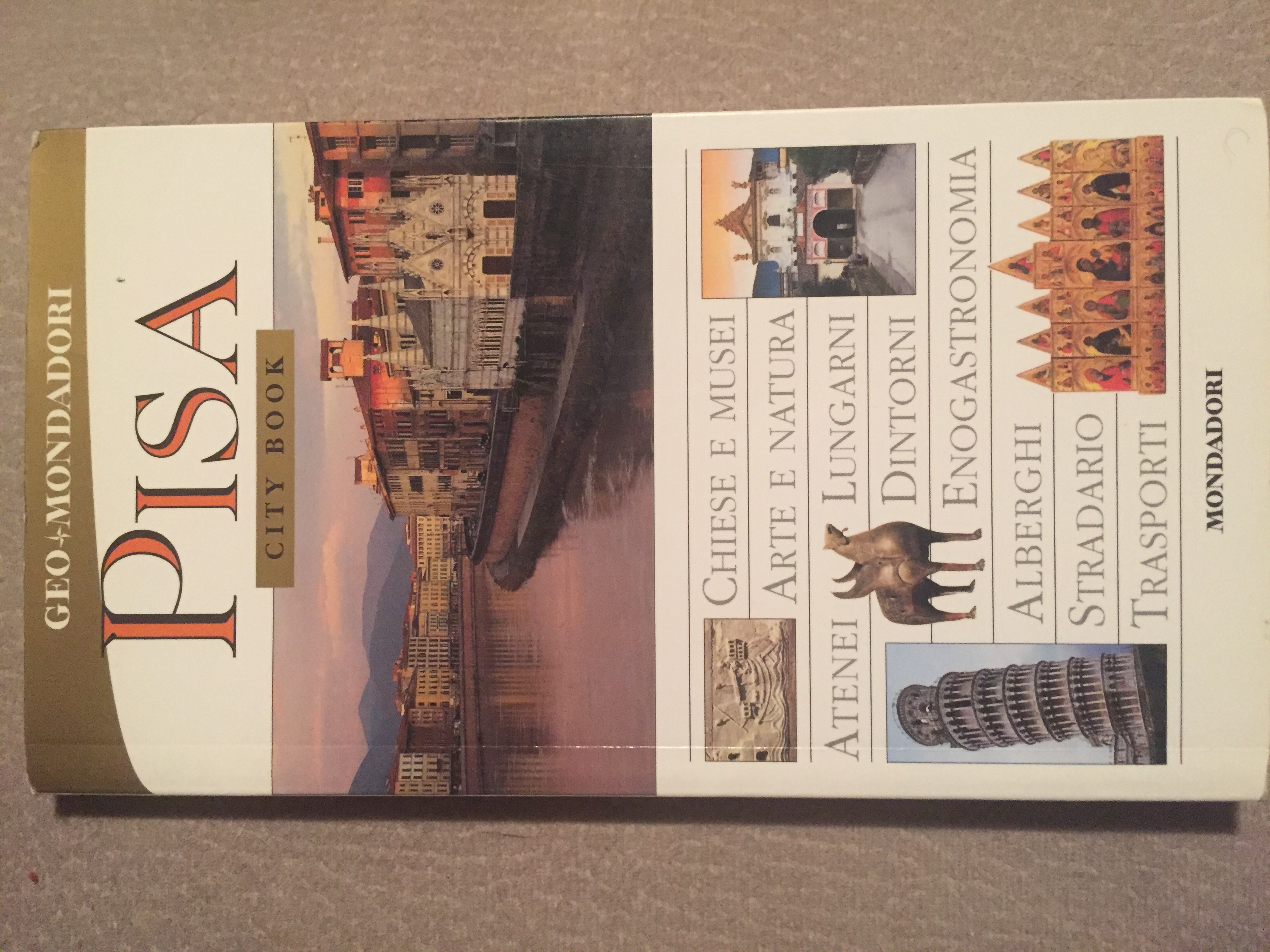 Pisa: city book
