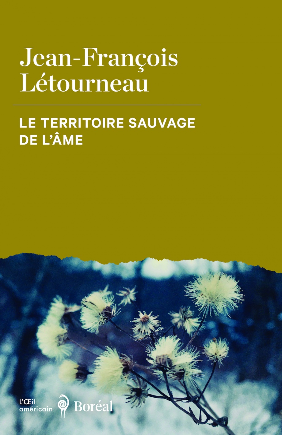 Le territoire sauvage de l'âme (Paperback)