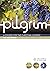 Pilgrim: The Beatitudes: Follow Stage Book 4 (Pilgrim Course)