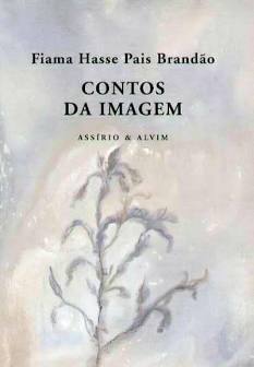 Contos da Imagem (Paperback)