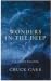Wonders In The Deep
