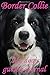 Border Collie My dog's guid...