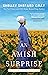 An Amish Surprise (Berlin B...