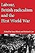Labour, British radicalism and the First World War by Lucy Bland