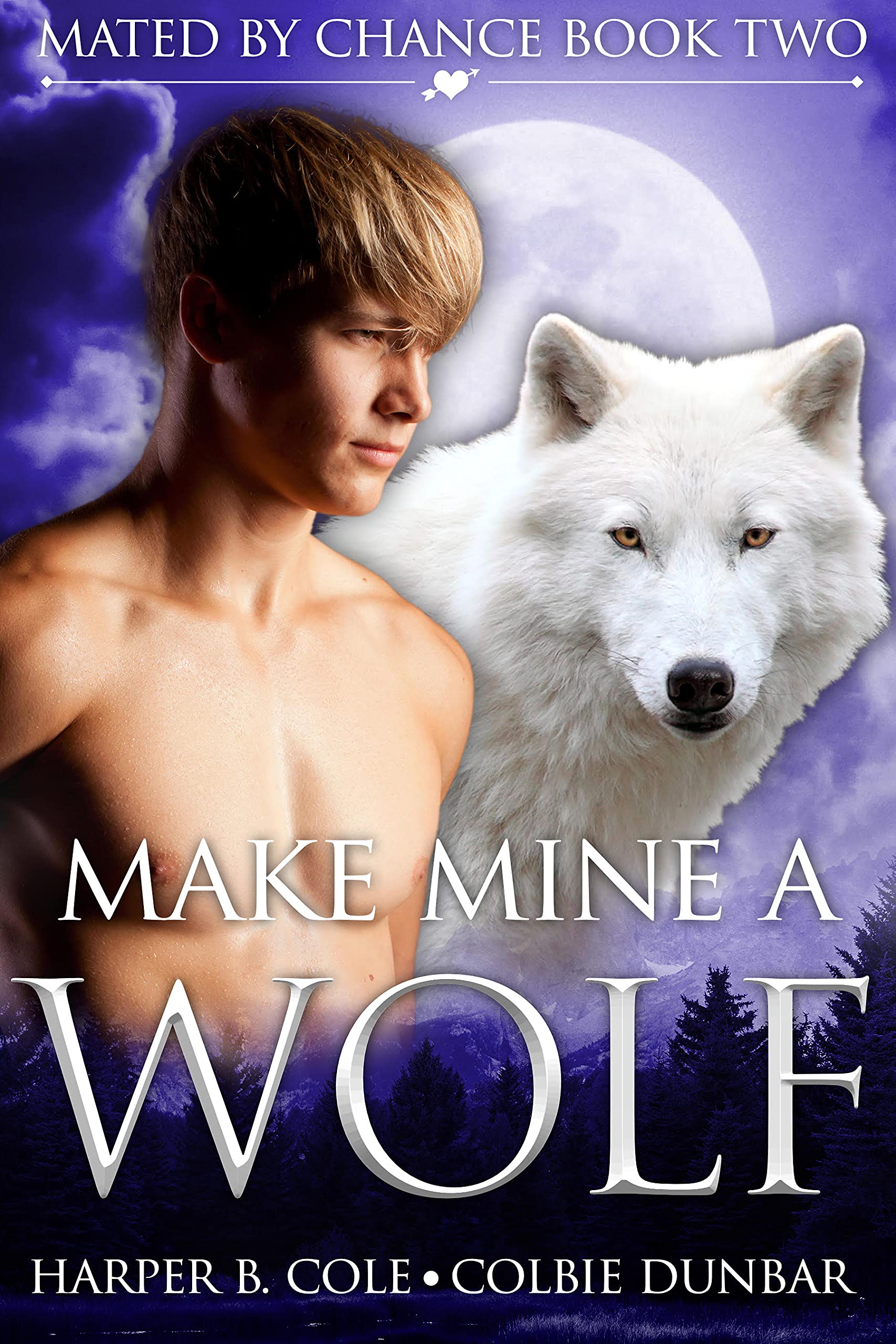 Make Mine a Wolf (Mated by Chance, #2)