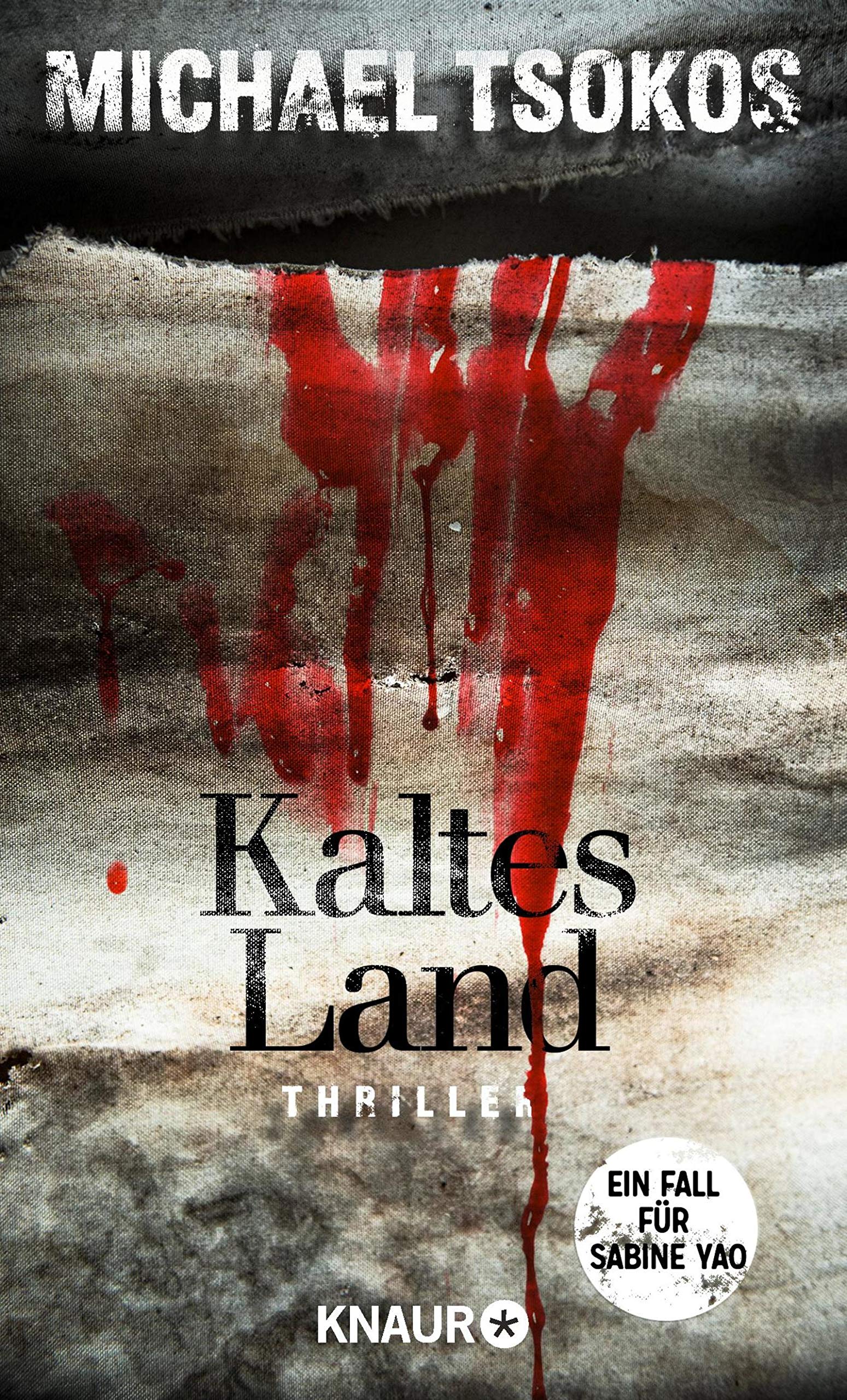 Kaltes Land (Ein Fall für Sabine Yao)