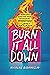 Burn It All Down