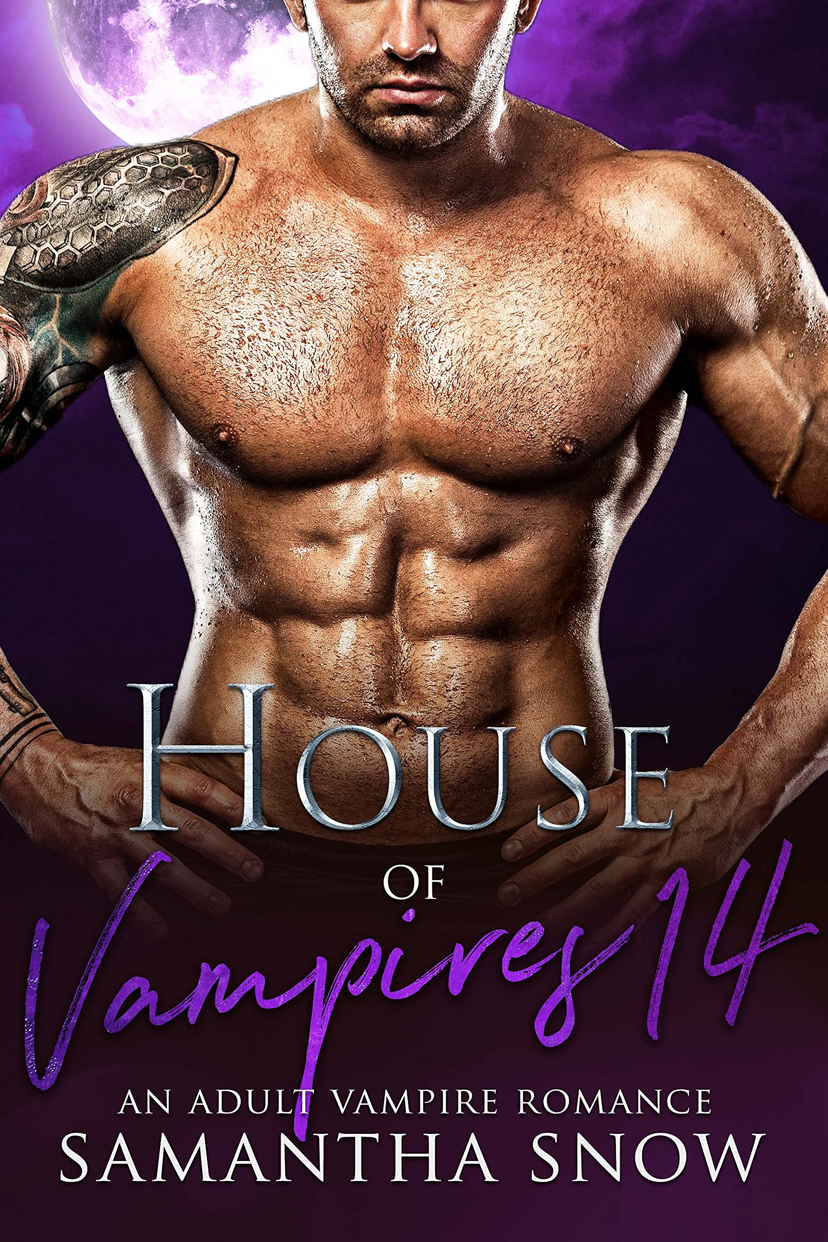 House Of Vampires 14: The Daywalkers (The Sons Of Vlad Series)