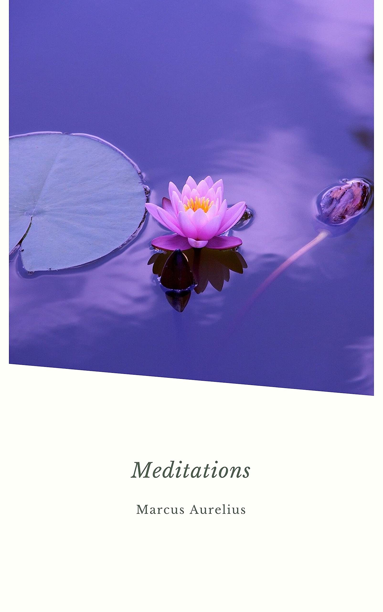 Meditations: A New Translation