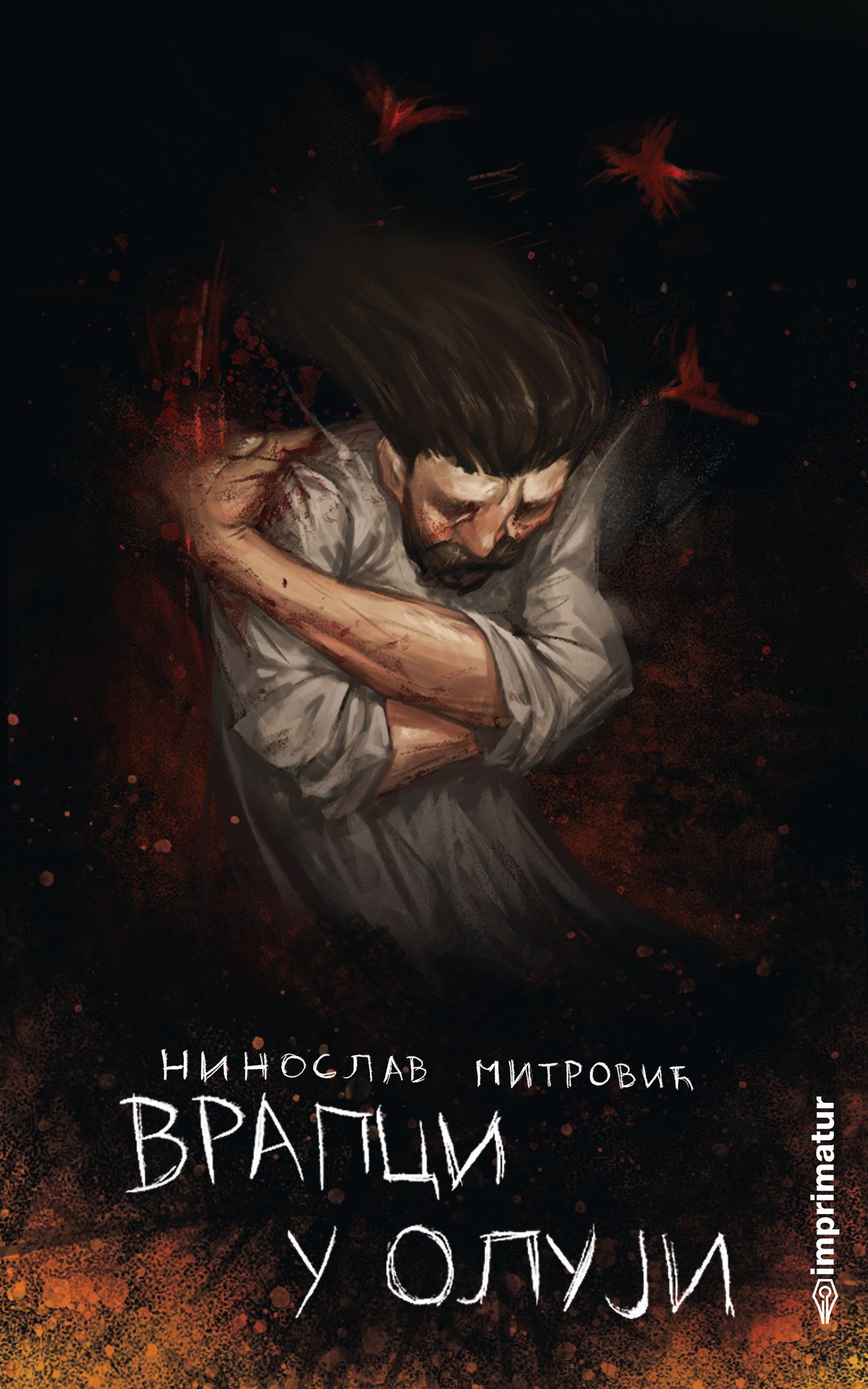 Vrapci u oluji (Paperback)