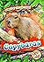 Capybaras
