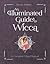 An Illuminated Guide to Wicca: A Complete Visual Manual