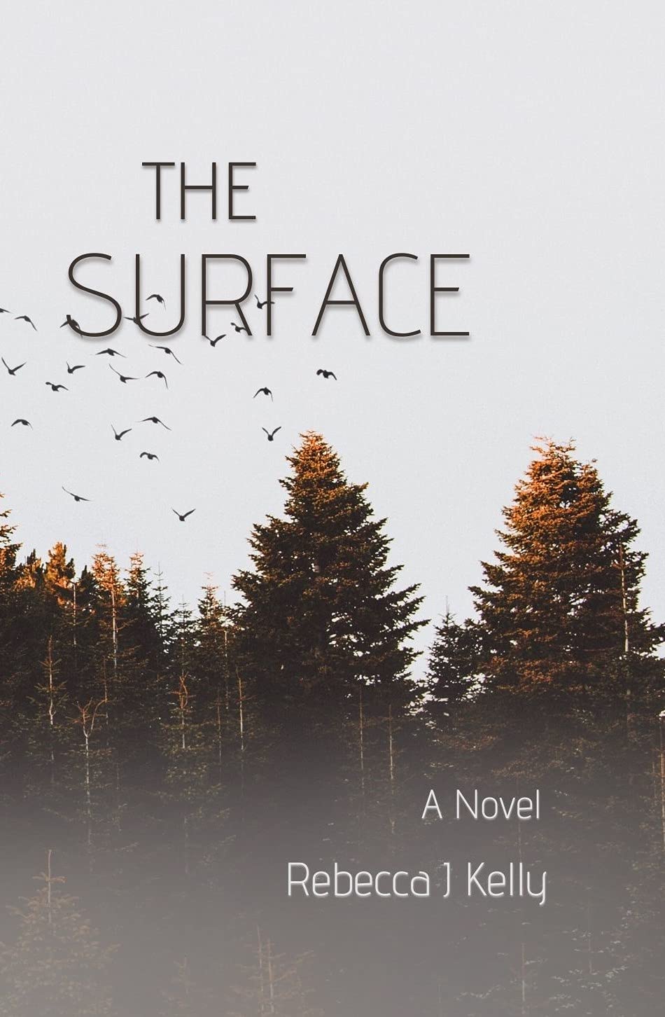 The Surface: A Novel (The Eta Chronicles #2)