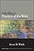Schelling's Practice of the Wild: Time, Art, Imagination (Contemporary Contin Philosophy)