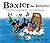 Baxter the Retriever: A Giant-Sized Hunting Dog with a Giant-Sized Personality