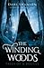 The Winding Woods: Tales of...