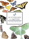 Butterflies and M...