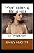 Wuthering Heights Illustrated