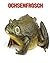 Ochsenfrosch: Sch�ne Bilder...