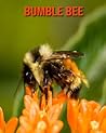 Bumble Bee: Beautiful Pictures & Interesting Facts Children Book About Bumble Bee Bumble Bee: Beautiful Pictures & Interesting Facts Children Book About Bumble Bee