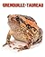 Grenouille-Taureau: Photos ...